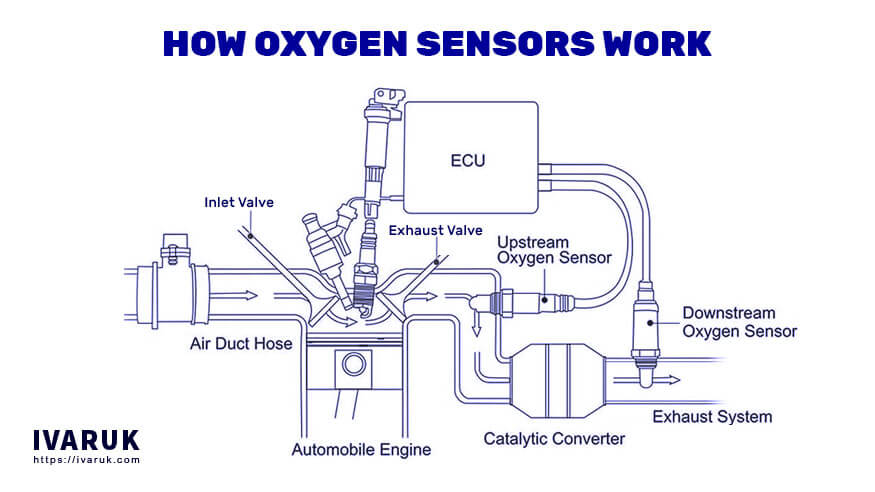 Oxygen Sensors