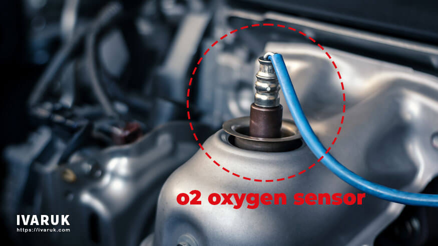 o2 oxygen sensor